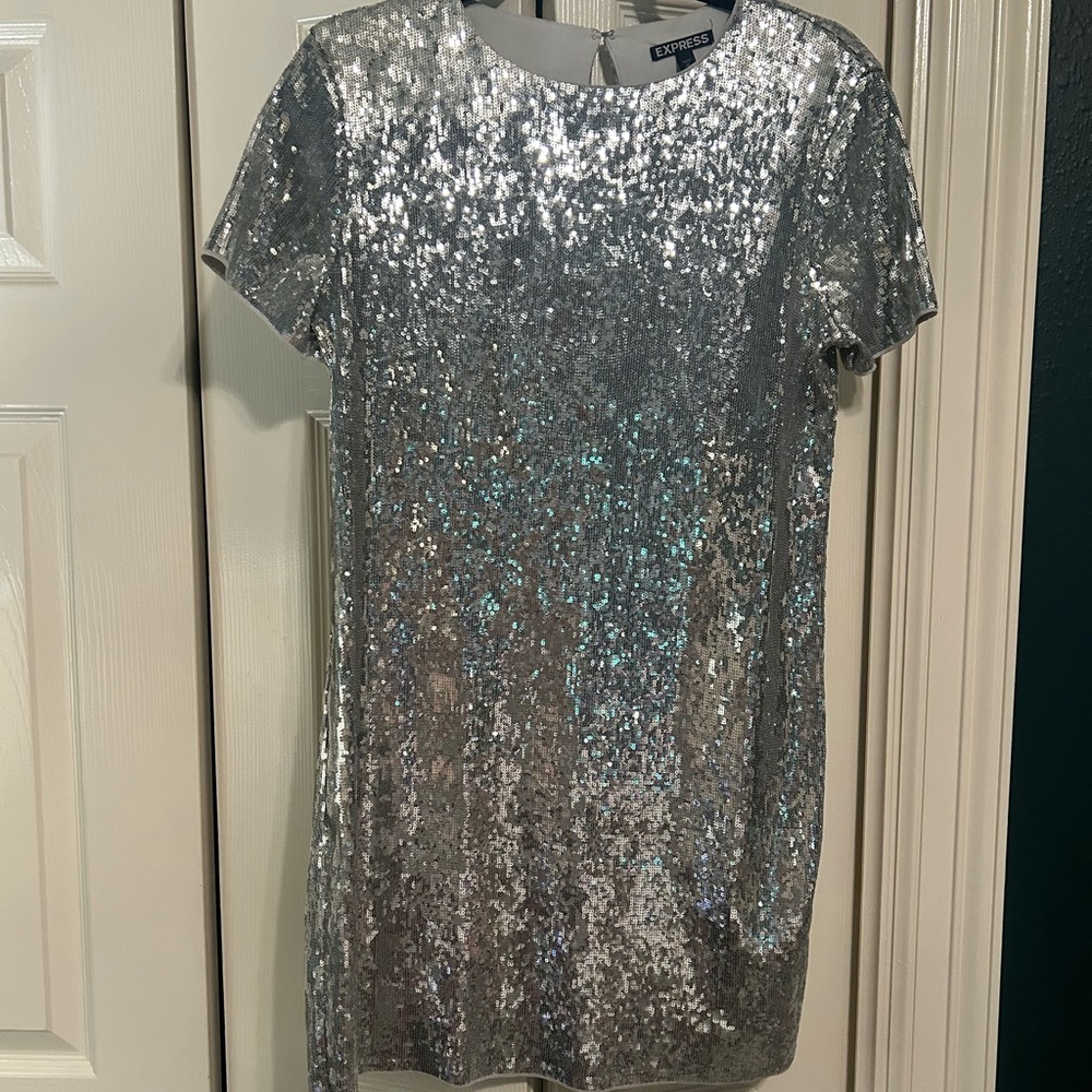 Express Silver Sequin Dress